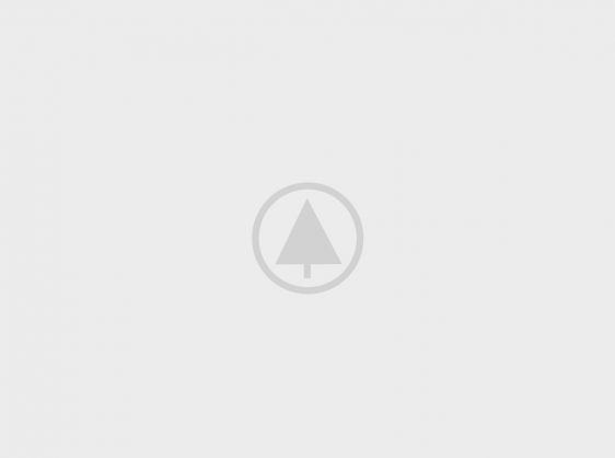 wood gallery placeholder 5 Home Camping