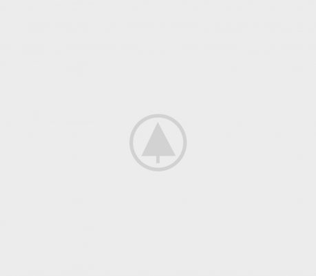 wood portfolio placeholder Home organic
