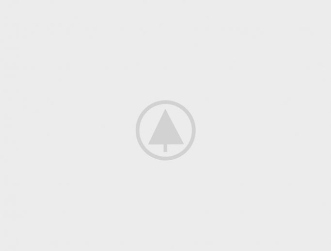 wood portfolio placeholder Home organic