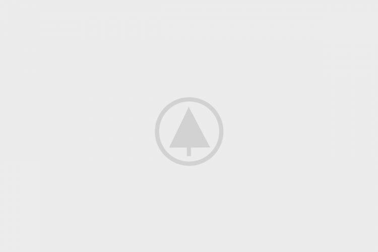 wood portfolio placeholder Home Travel